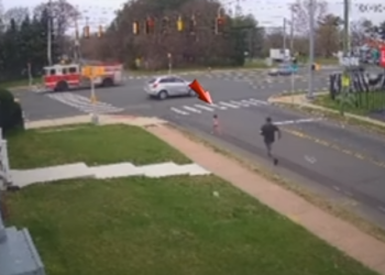 머리 자르다 뛰쳐나간 이발사, 무엇을 보았길래(영상)