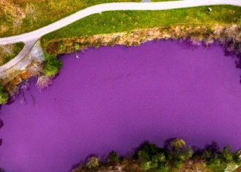 물감 쏟았나봐…독일 ‘보랏빛 호수’ 화제