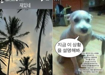 SNS 충동 못참아 스스로 앞길 망치는 연예인들