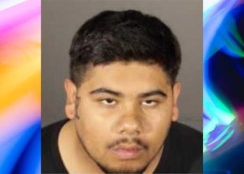 LA 연쇄 무장강도단, 잡고 보니 12살 소녀 등 10대 2명 “충격”