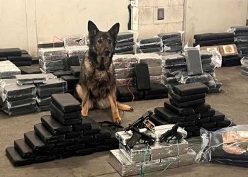 남가주 곳곳 동시 급습, 코카인 1톤 적발…싯가 5500만 달러 상당