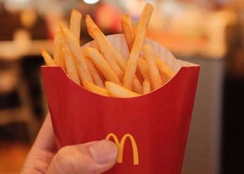 전국에서 가장 맛있는 감자튀김이 맥도날드?