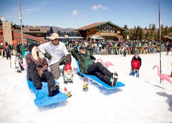 ‘즐거운 비명 스키장들’ .. 역대급 호황 폐장 수차례 연기