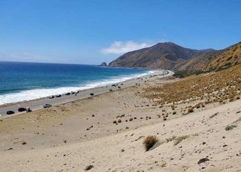 벤추라 해안서 파도에 밀려온 30대 남성 변사체 발견