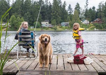 “애완견에게 생선회 주면 큰 일 납니다”