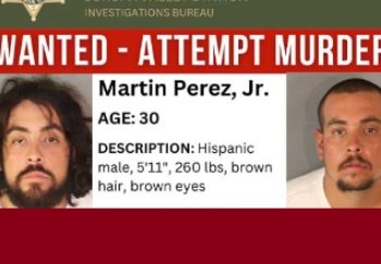 ‘무법천지’ LA, 점입가경…교통단속 걸리자 경찰에 총기난사