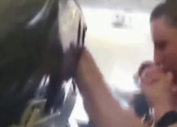 (2보)난기류 만난 여객기 아수라장…천장 뜯기고 짐 와르르(영상)