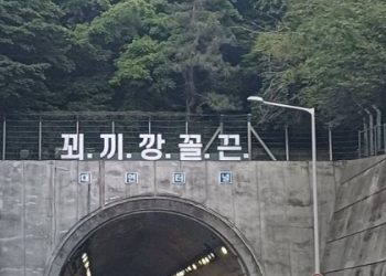 [이런일도] ‘꾀끼깡꼴끈’ 터널 괴문자…무슨 뜻이길래