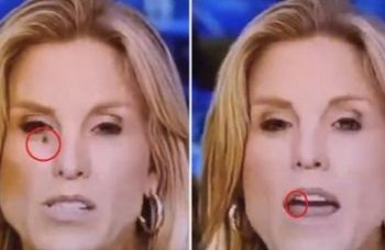 입에 파리가 ‘쏙’…돌발상황에 뉴스앵커 행동은(영상)