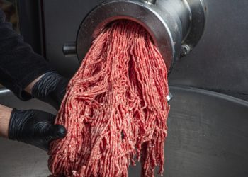 청소업체, 육가공기계 청소에 어린이 24명 투입 불법고용