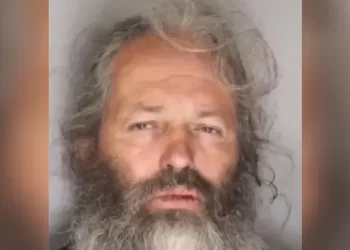 “술마시려고”…7세 손녀 노숙자에 맡긴 할아버지 최후는