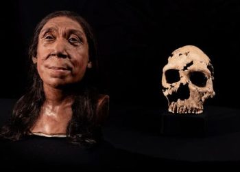 뼛조각 200개 맞췄더니 … 7만5000년 전 40대 여성