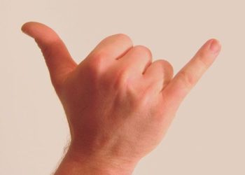 “하와이에선 이렇게 인사해요”…샤캬 제스처, 하와이 공식 제스처로 공인