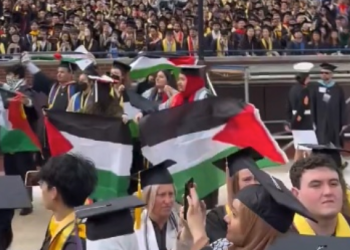 미 Z세대 반전 학생운동, 유튜브·틱톡이 불 붙였다