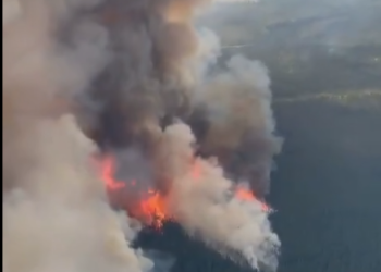 대형산불 확산..오일샌드 위협, 23만명 대피(영상)