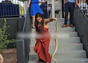 결혼식 출몰한 뱀, 누가 맨손 퇴치했나(영상)