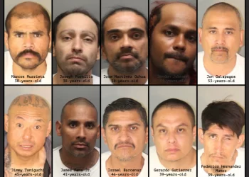 대규모 마약사범 단속 ‘거리 청소부 작전’ … 100여명 체포