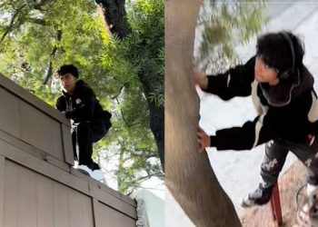 넛츠베리팜 무단침입 틱톡커 영구출입금지