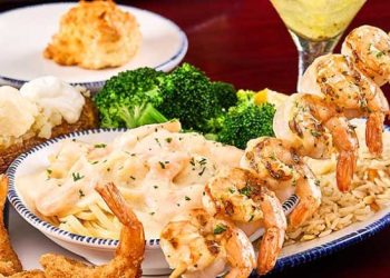 “20달러 무제한에 휘청” … 레드 랍스터, 결국 파산?