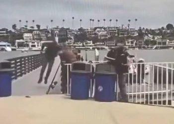 OC 뉴포트비치  밀입국보트.. 수십명 상륙 후 사라져