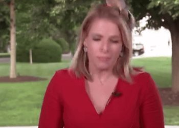 KTLA 생방송 준비 중 ‘새의 습격’…돌발상황(영상)