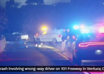 DUI 차량, 101번 Fwy 과속 역주행, 2명 사망