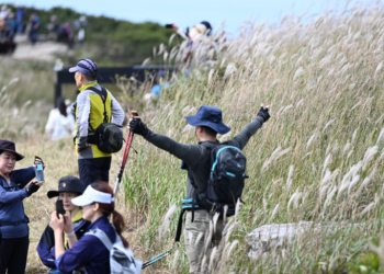 무등산·지리산, 탐방 만족도 전국 2위…1위는 어느 산
