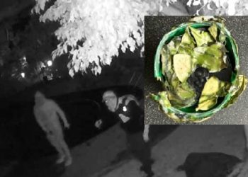 “우리 집에 몰카 있다” … 몰카로 빈집 확인, 원정절도단 빈집털이 기승