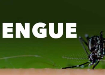 미 전국 뎅기열 비상, 환자 급증 … 환자 발생 역대 최대규모