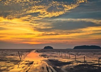 [한국 가면 여기] “기차 타고 떠나라”…최대 60% 할인