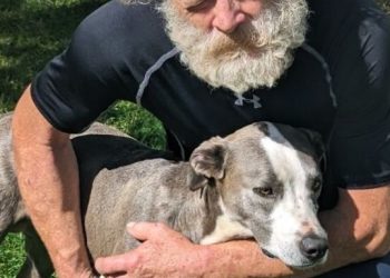 주인 살린 강아지…차량추락하자 6㎞ 달려 사고 알려