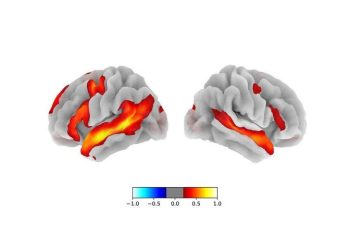 “언어가 사고의 핵심 아니다” …. 수천 년 철학 정설 뒤집혔다