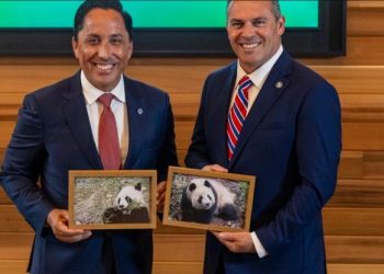 20년만 첫 미국 오는 팬더 한쌍, 센디에고 동물원 터 잡는다