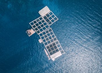 전세계 수산물 양식 생산량, 포획량 사상 최초 역전