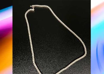 ’10만달러 목걸이’ 강탈, 다우니 보석상 강도 체포