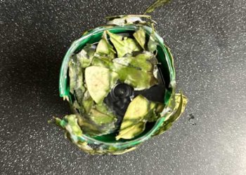 기 막힌 빈집털이범들 …정원 속 감춰진 몰카 또 발견