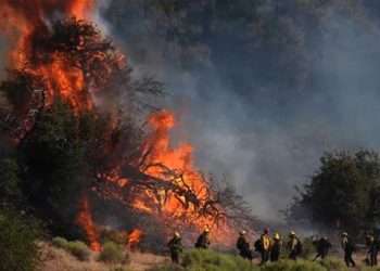 포스트 파이어 3일째, 1만 5천에이커 전소…진화율 20% 그쳐