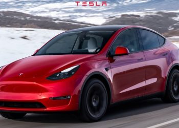 테슬라 모델Y, 중국 관용차된다