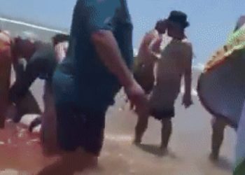 붉은 피로 물든 바다…텍사스 여성 상어 공격 받아(영상)