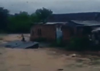 떠내려 가는 집 지붕에 사람…인도 홍수 재앙(영상)