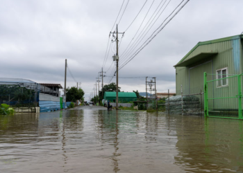 극한호우 뉴노멀 됐는데 방재시설 제자리…닷새간 차량 1000여 대 침수