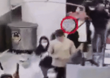 바지 속에 살아있는 뱀 100마리 숨겨 입국 시도