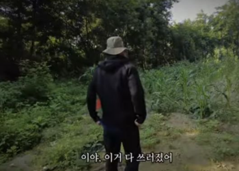 아이돌 한류스타 농부 됐다.  “옥수수 농사 망해”