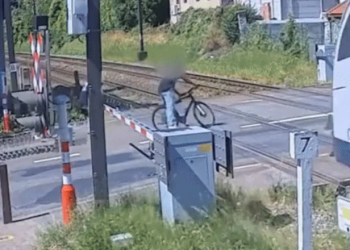 “평생 운 다 썼다”…기차에 치였지만 살아남아(영상)