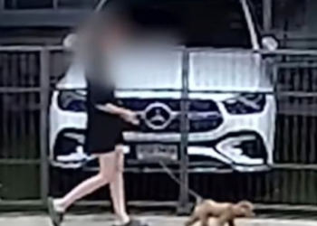 유명 여성 모델 집 안서 살해당해…범인은 남친