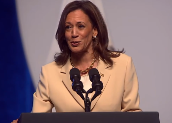 해리스, 순식간에 대세 장악…NYT “잘 조율된 전격작전”