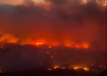 가주  올해 최대 산불 발생 … 불 붙은 차량때문(영상)
