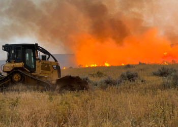 24개 산불 동시 발생 초유사태  … 2800여개 낙뢰 떨어져