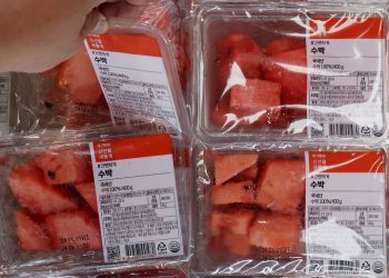 “수박씨, 뭣도 모르고 뱉었네” … ‘놀라운 효능’