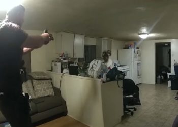 냄비 들었다는 이유로 흑인 여성 총격 사살…경찰, 연속 세 발 총격